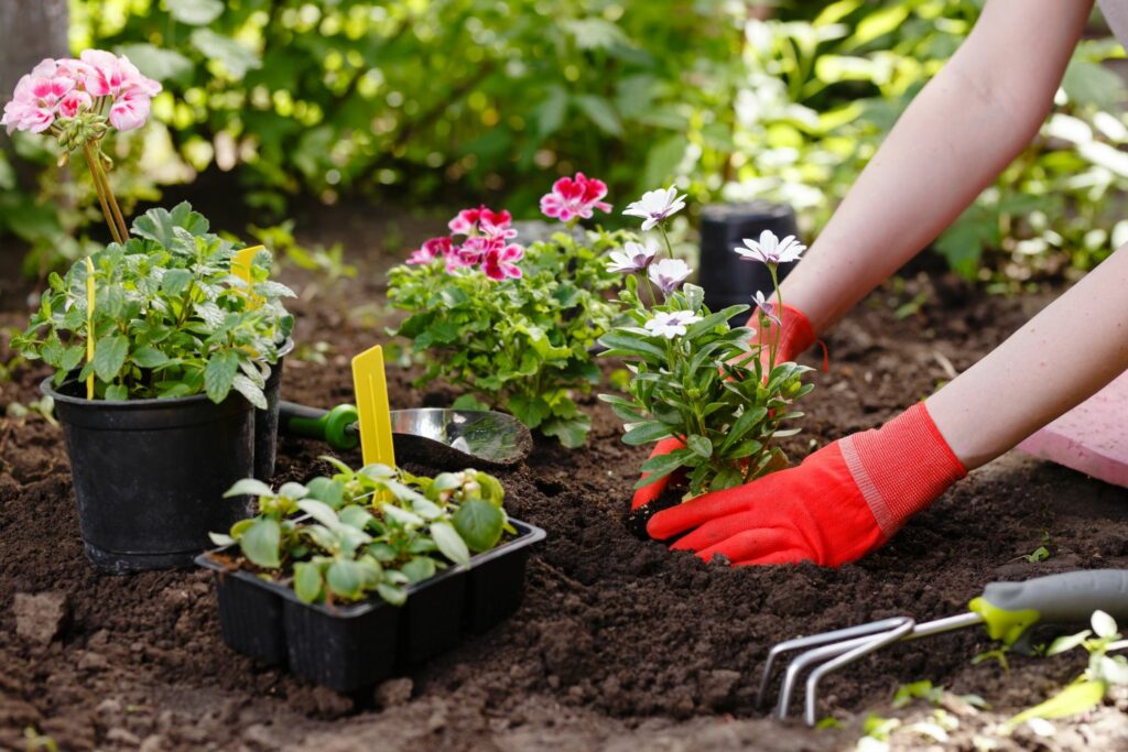 Gartenarbeit und Abnehmen
