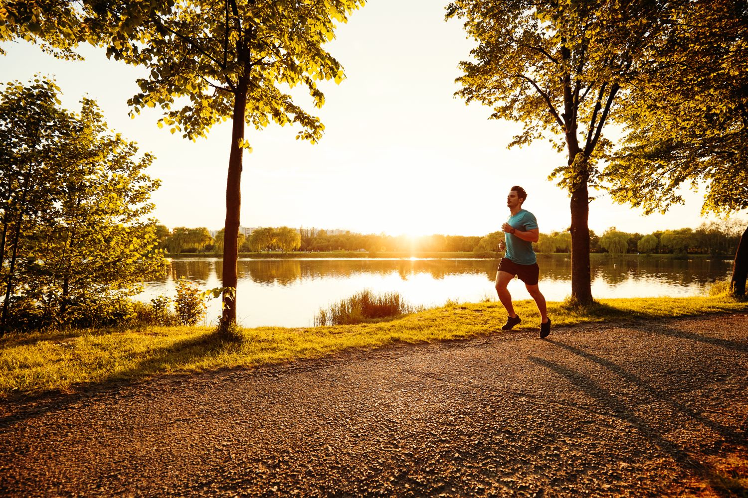 Abnehmen und gesund bleiben durch mehr Bewegung im Alltag